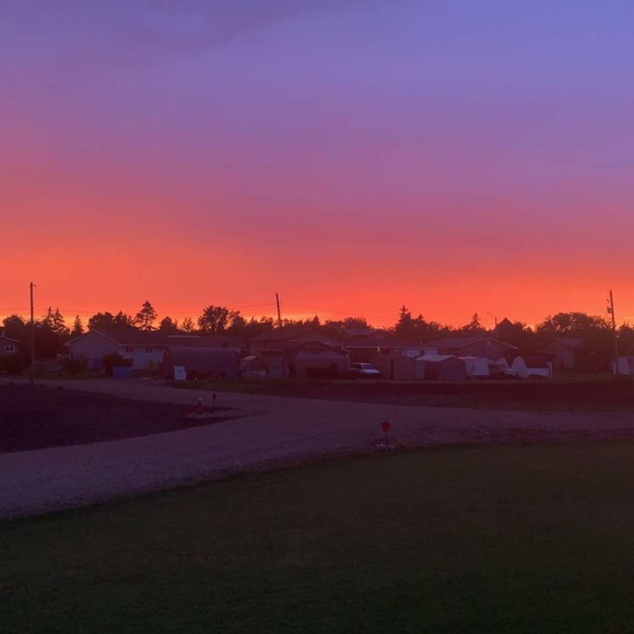 Meet your Posher, Kallie - Picture 1 of 1